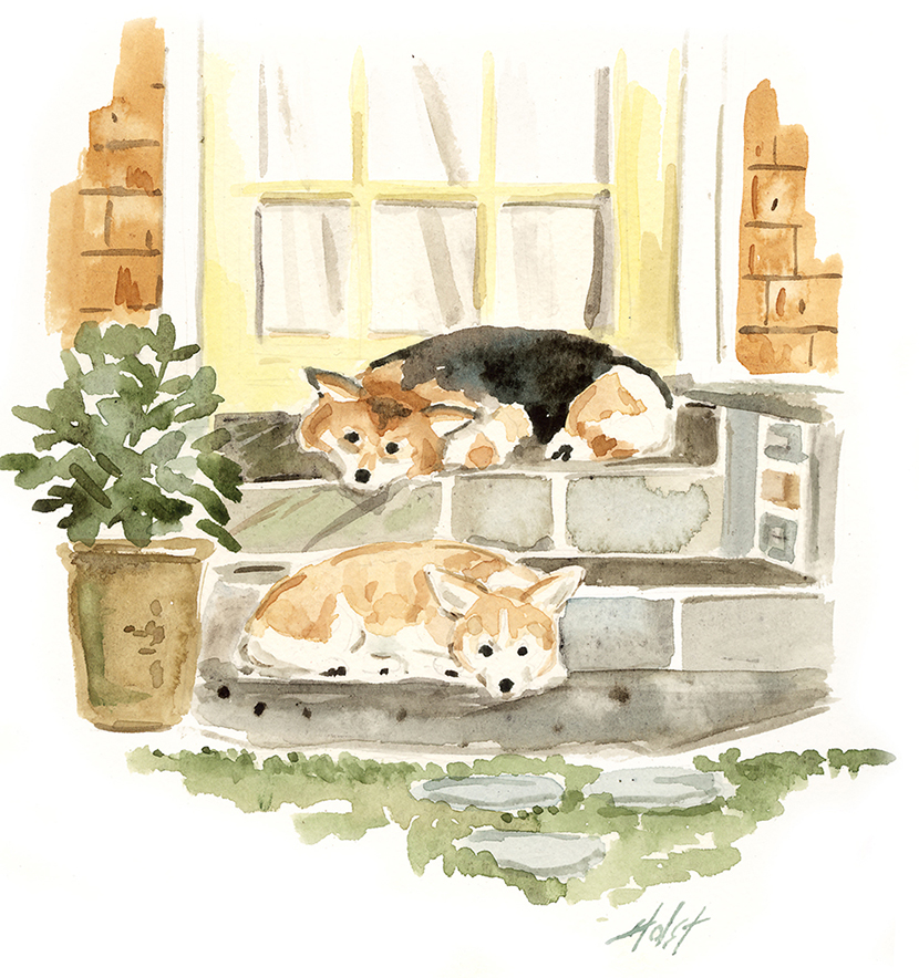 Finn & Rory Back Steps Watercolor
