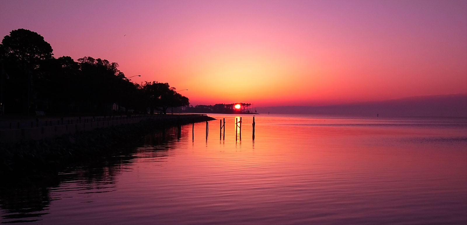 Header Picture